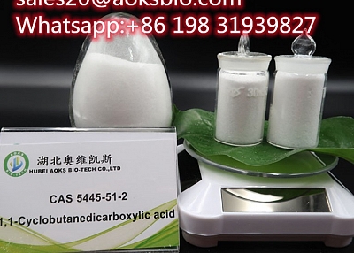 Supply 1, 1-Cyclobutanedicarboxylic Acid CAS 5445-51-2 High Purity Powder China Supplier Raw Materia