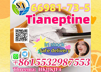 CAS 66981-73-5 Tianeptine In stock ( Whatsapp:+8615532987553 )