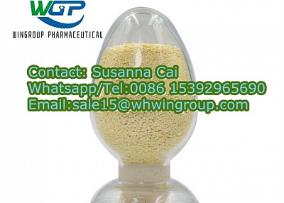  1-N-Boc-4-(Phenylamino)piperidine CAS 125541-22-2