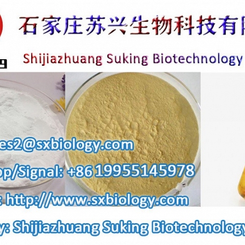 High Purity New BMK Glycidate CAS 5413-05-8 BMK Powder CAS 16648-44-5 Pmk Glycidate 13605-48-6 with 