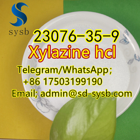  74 A  23076-35-9 Xylazine hcl 