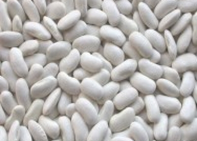 White Kinney Beans