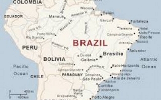 Brazil (Sylodium, Free Import-Export directory)