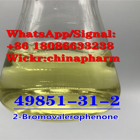 CAS 49851-31-2 2-Bromovalerophenone 1451-82-7 /5337-93-9 China supplier
