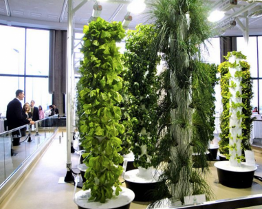 Middle East aeroponics systems in Africa?