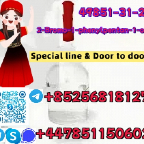 49851-31-2 专线及门到门