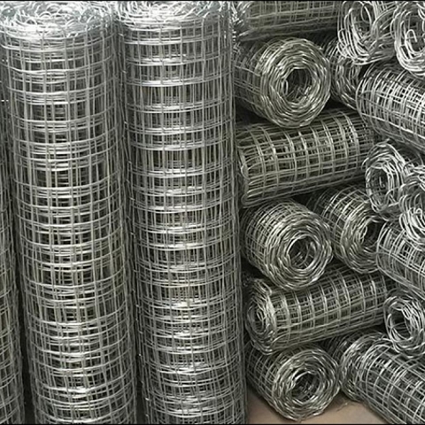 Galvanized Wire Mesh