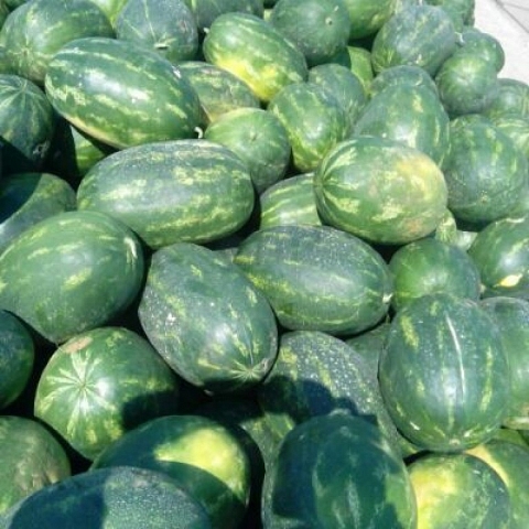 Serbian Fruits and Vegetables