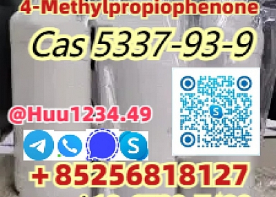CAS 123-75-1 Door-to-Door Pyrrolidine 4-Methylpropiophenone cas 5337-93-9 China supplier