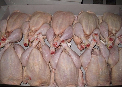 顶级品质的冷冻整鸡，鸡脚，翅膀，腿出售