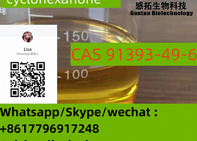 Hot Special CAS 91393-49-6 CAS 14176-50-2 2-(2-Chlorophenyl)-cyclohexanone 2114-39-8