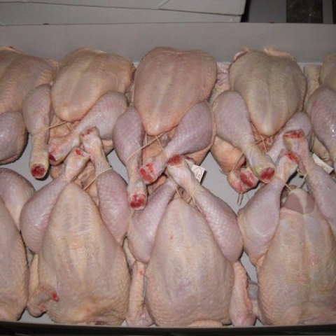 Top quality Frozen Whole Chicken, Chicken Feet, Wings, Legs for sale