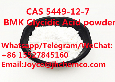 CAS 5449-12-7 BMK Glycidic Acid powder +86 15527845160