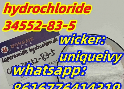 loperamide hydrochloride cas:34552-83-5