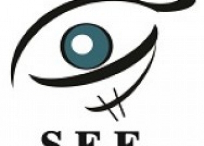 Sino Expert Enterprise (S.E.E.) 