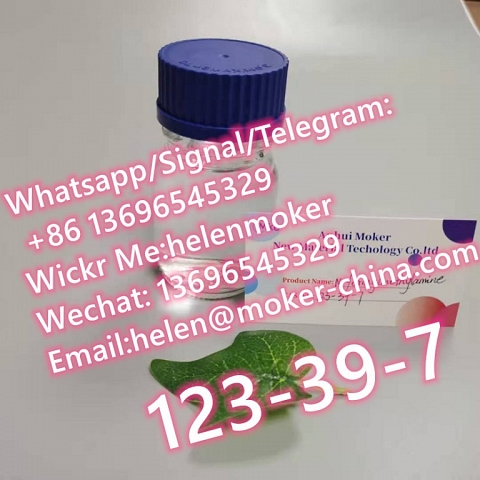  Fast Delivery N-Methylformamide CAS 123-39-7 with Best Price 100% Pass Custom