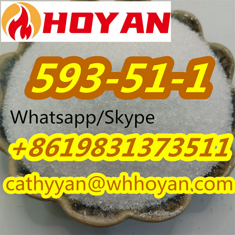 Low Price CAS 593-51-1 Methylamine Hydrochloride Methylamine HCl with Good Feedback
