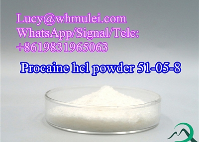 Procaine hcl Powder CAS 51-05-8 Local Anesthetics Drug High Quality Procaine hcl Manufacturer