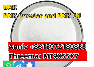 Cas 5449-12-7 New BMK Glycidic Acid for sale Europe warehouse