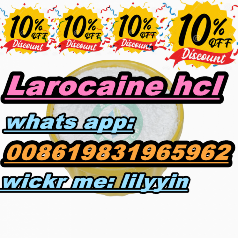 Netherland Dimethocaine hcl cas 553-63-9