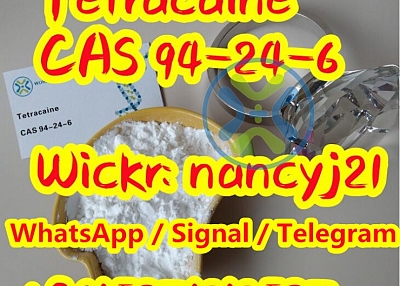 Sell tetracaine powder to Canada,Netherland Top tetracaine powder 94 24 6 supplier 