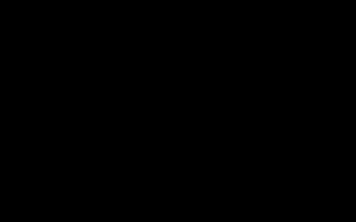 Spain - Gambia  (Sylodium, import export business)