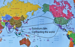 印度 - 美国  (Sylodium, 进出口业务)