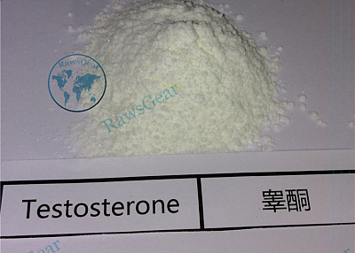 Testosterone Base