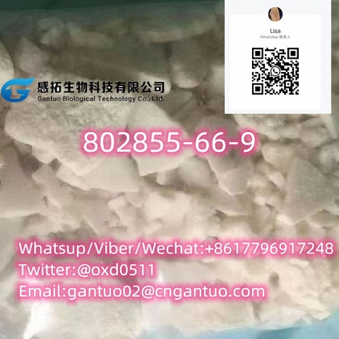 high qualityCAS802855-66-9