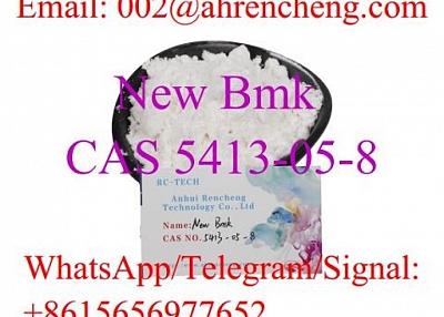 New Bmk CAS 5413-05-8 with Top Quality