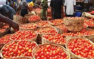 Nigeria, Agriculture Development (By Sylodium, international trade directory)