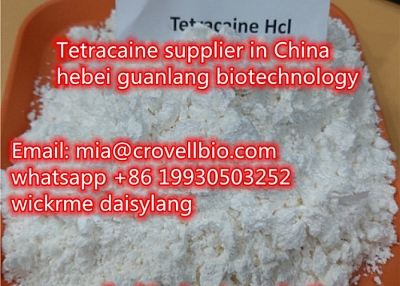 Tetracaine CAS 136-47-0 supplier in China （ mia@crovellbio.com  whatsapp +86 19930503252 ）