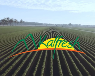 Kalfresh Vegetables, farm into multi-million dollar business