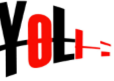Haiyan Yoli Electronics