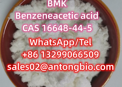 Benzeneacetic acid BMK CAS 16648-44-5 Methyl 2-phenylacetoacetate