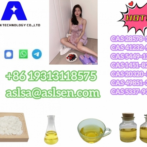 Factory Price Pharmaceutical Chemical Purity Degree 99% BMK Glycidic Acid CAS 5449-12-7