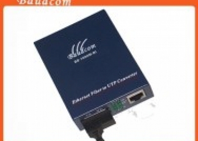 Fast Ethernet Media Converter