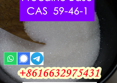 Procaine Free Base CAS 59-46-1