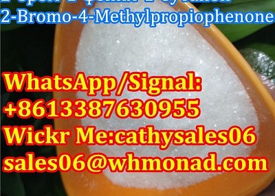 Sell bk-4 2-Bromo-4-Methylpropiophenone CAS 1451-82-7 Safety Delivery