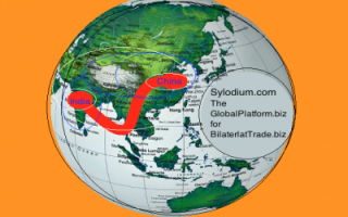 India - China (Sylodium Import-Export platform)
