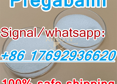 Supply High Purity CAS148553-50-8 Pregabalin Best Feedback