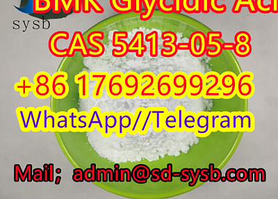 5413-05-8  BMK Glycidic Acid    