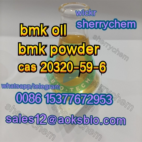 Cas 20320-59-6 New BMK cas 5449-12-7 99% powder 5449-12-7 