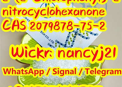 TOP 2-(2-Chlorophenyl)-2-nitrocyclohexanone (cas2079878-75-2) for sale