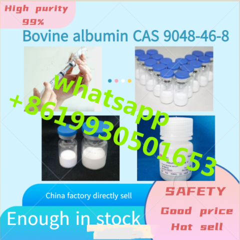 Chinese factory sell Bovine albumin with CAS 9048-46-8 BSA (whatsapp +8619930501653)