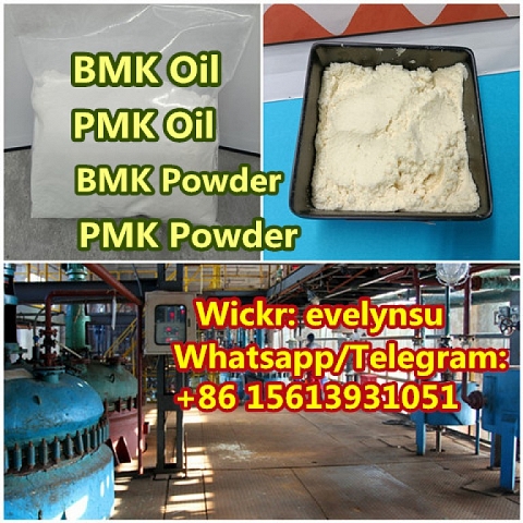 Manufacturer Supply New BMK PMK Oil/Powder Whatsapp:+8615613931051