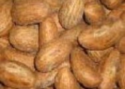 kola nut and bitter kola