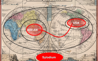 USA –  ASEAN business (Sylodium, import and export)