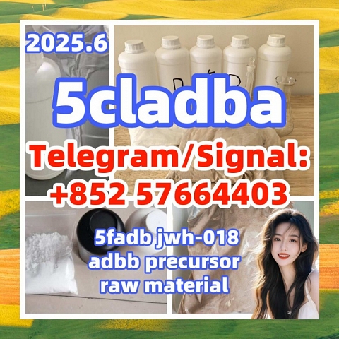 Buy 5CLADBA,5cladba,adbb,5f-adb,4fmdmb,6cladba,5-cl-adb-a,5cl