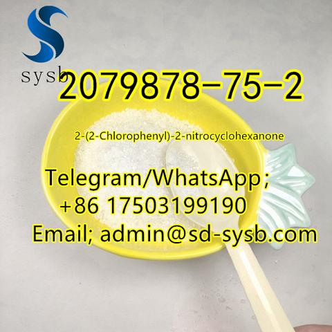  94 A  2079878-75-2 2-(2-Chlorophenyl)-2-nitrocyclohexanone